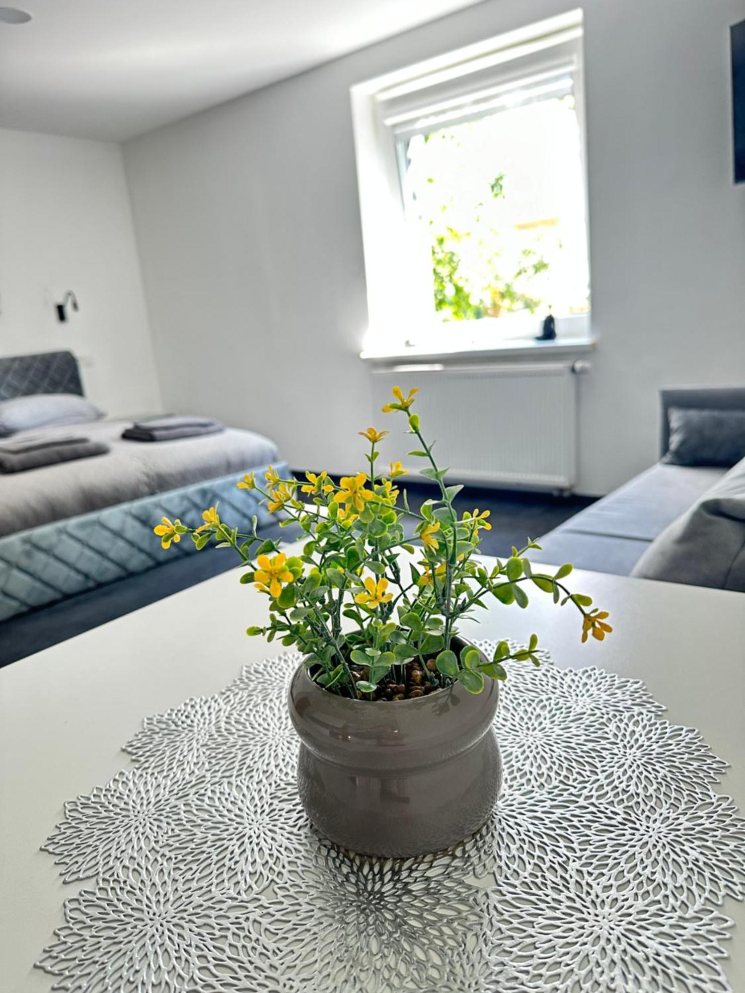 Apartment Silvia 109